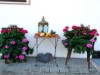 Bilde 4