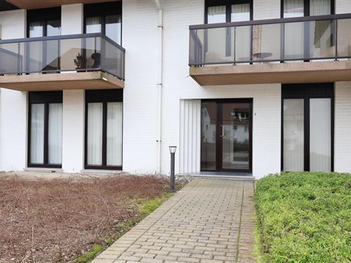 Ferieleilighet - 4 personer -  - 8670 - Oostduinkerke