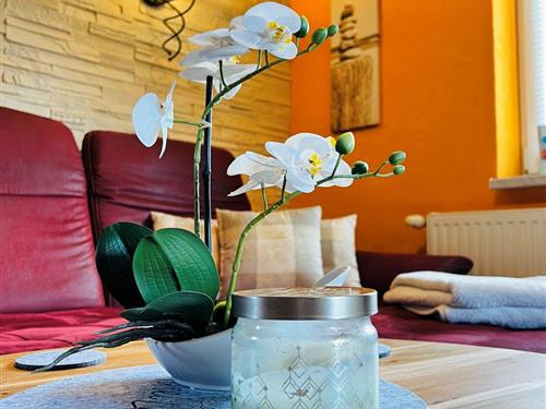 Ferielejlighed - 2 personer -  - Jordanstraße - 18374 - Zingst