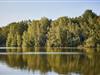 Bild 36