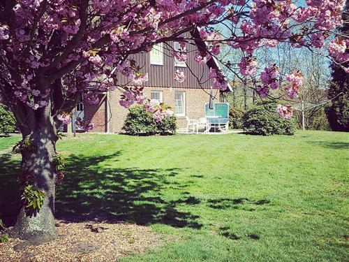 Ferielejlighed - 2 personer -  - Hinterbrack - 21635 - Jork