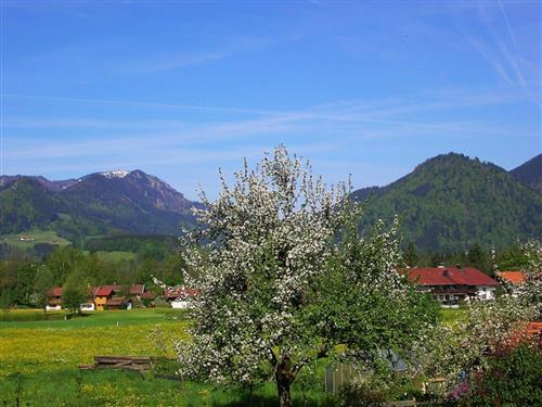 Semesterhus/Semesterlägenhet - 3 personer -  - Mitterwegen - 83324 - Ruhpolding