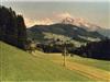 Bilde 8