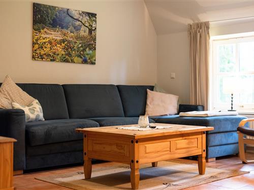 Ferielejlighed - 4 personer -  - Oberhaverbeck - 29646 - Bispingen