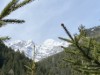 Billede 21