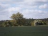 Billede 8