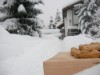 Bild 31 - Ude