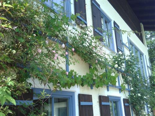 Holiday apartment - 2 persons -  - Ahornweg - 83487 - Marktschellenberg