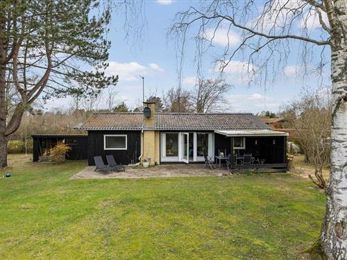 Sommerhus - 6 personer -  - Lundedalsvej - Holløselund - 3210 - Vejby