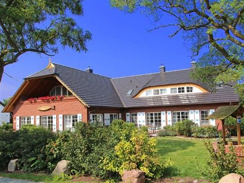 Ferielejlighed - 3 personer -  - Dorfstrasse - 18586 - Middelhagen