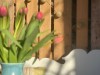 Billede 12