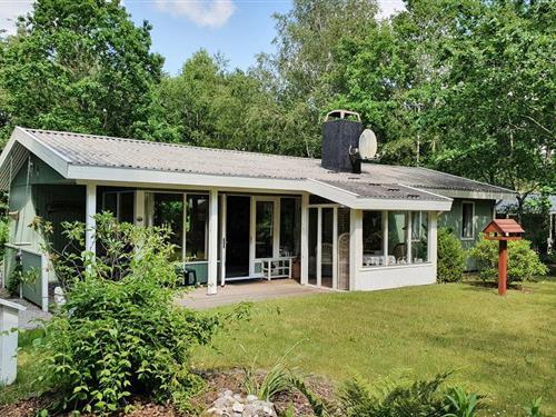 Ferienhaus - 4 Personen -  - Søgårdsvej - Kvie See - 6823 - Ansager