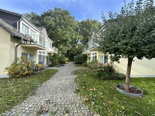 Sommerhus - 3 personer -  - 18586 - Middelhagen