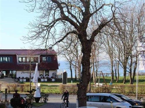 Feriehus / leilighet - 3 personer -  - Ostseeallee - 18225 - Kühlungsborn