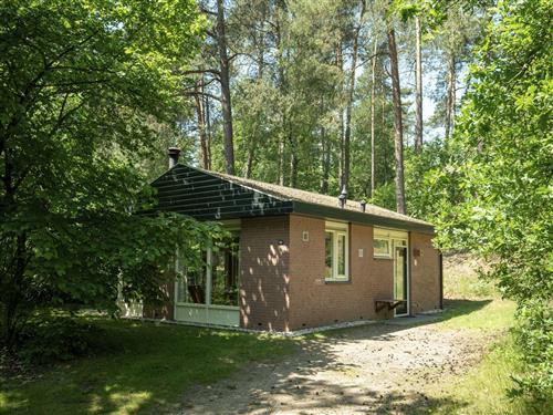 Holiday Home/Apartment - 4 persons -  - Miggelenbergweg - 7351 BP - Hoenderloo