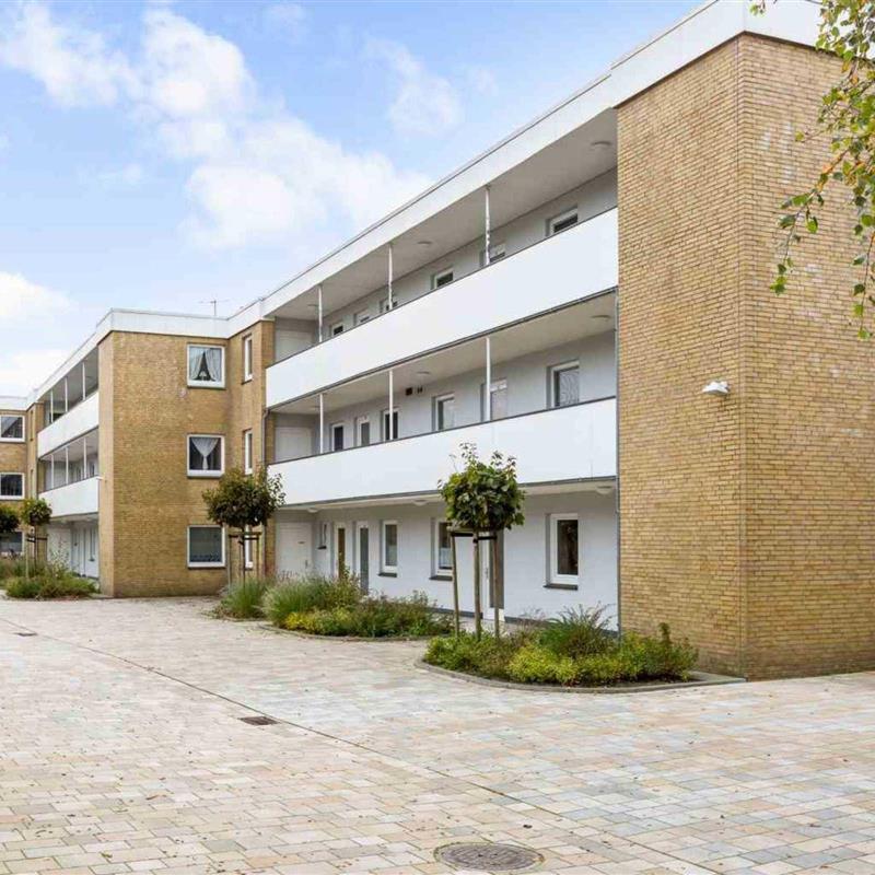 Ferielejlighed - 4 personer -  - Sandkamp - 25826 - St. Peter-Ording