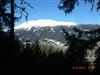 Bilde 4