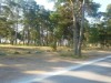 Billede 18