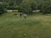 Billede 4
