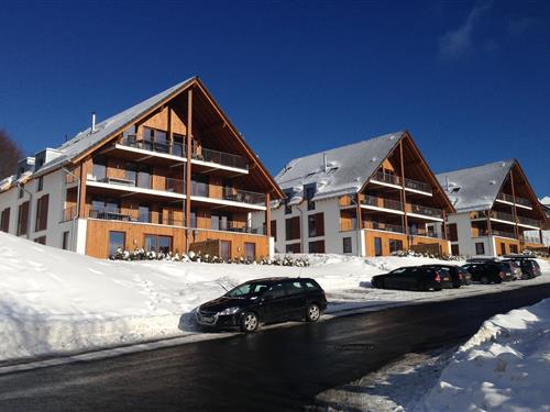 Ferieleilighet - 12 personer -  - 59955 - Winterberg