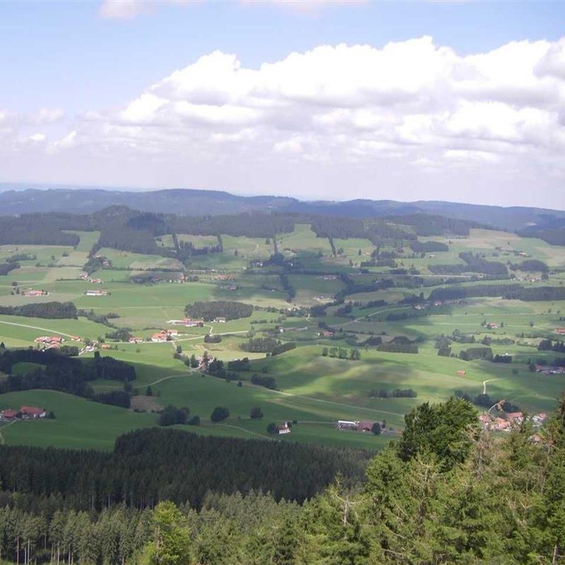 Ferielejlighed - 5 personer -  - Engelhirsch - 87480 - Weitnau