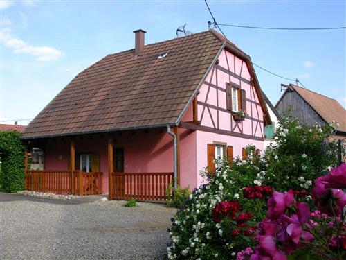 Ferienhaus - 6 Personen -  - Barr - 67140