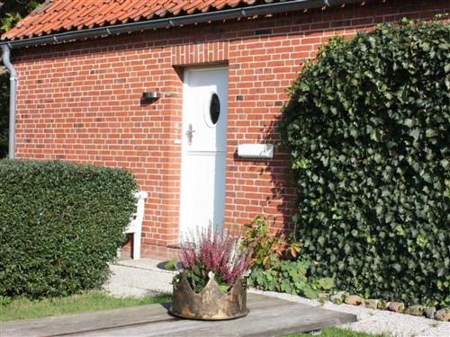 Feriehus - 2 personer -  - Norderfriedrichskoog - 25870