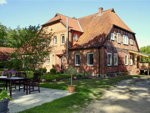 Ferieleilighet - 6 personer -  - 29389 - Bad Bodenteich