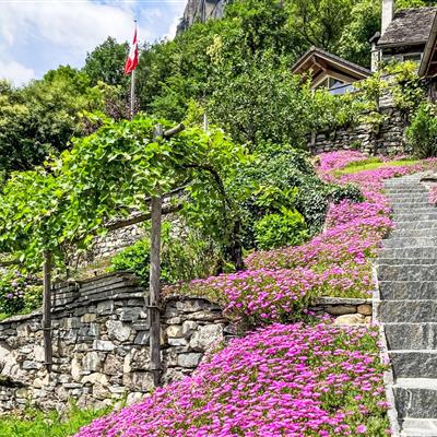 Billede 3