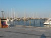 Billede 33
