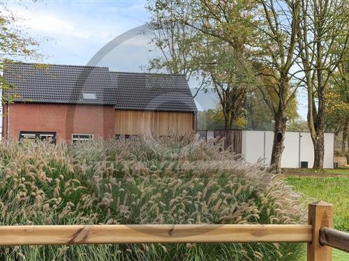 Holiday home - 14 persons -  - Lakei 7 - - 5851 EG - Afferden