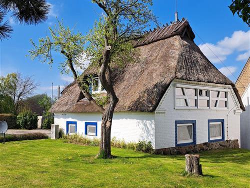 Sommerhus - 8 personer -  - Dorfstraße - 24398 - Winnemark