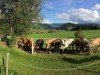 Billede 3