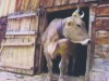Bild 24