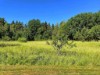 Bild 20 - Ude