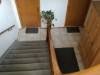 Bilde 5