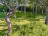 Bild 16 - Ude