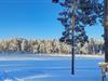 Image 23