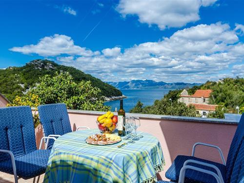 Holiday apartment - 6 persons -  - 20246 - Janjina