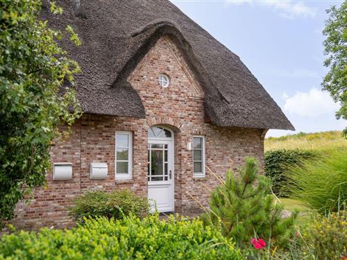 Holiday home - 5 persons -  - Am Deich - 25826 - Sankt Peter-Ording