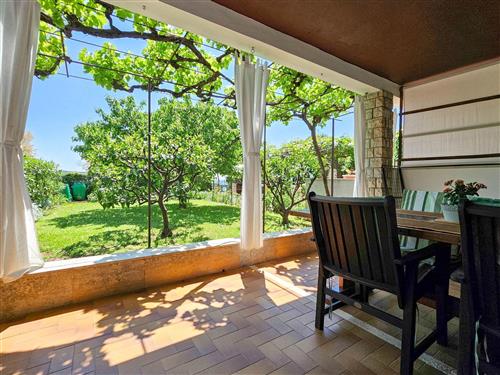 Holiday apartment - 4 persons -  - Buzinija - 52466