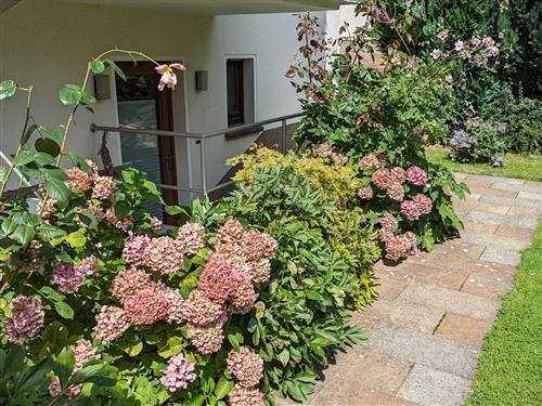 Ferieleilighet - 2 personer -  - Oesdorfer Str. - 31812 - Bad Pyrmont