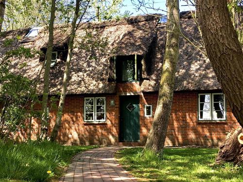 Holiday home - 4 persons -  - Diekstraat - 25870 - Norderfriedrichskoog