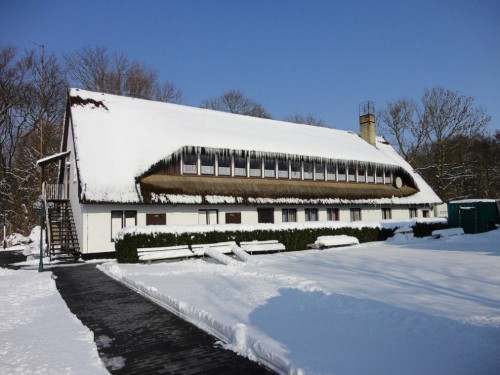 Ferienzentrum - 4 Personen -  - Rugenhof - 18573 - Dreschvitz