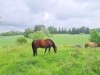 Bild 2 - Ude