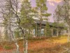Bilde 23 - Inne