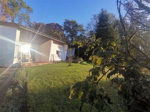 Ferienwohnung - 4 Personen -  - Hoheleye - 59955 - Winterberg