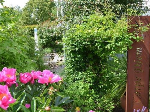 Ferielejlighed - 2 personer -  - Am Gartenpfad - 36115 - Ehrenberg