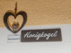 Bild 65