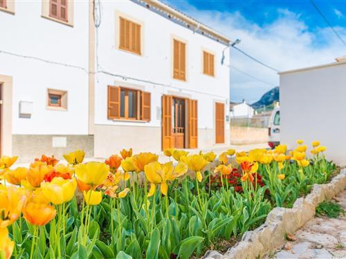 Holiday apartment - 6 persons -  - 07579 - Colònia De Sant Pere (Art